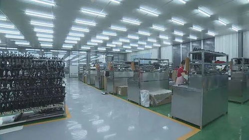 成武民營企業 揚帆出海，暢銷海內外市場